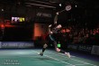Thumbs/tn_JMG_0048.jpg