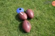 Thumbs/tn_IMG_4041.jpg