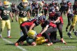 Thumbs/tn_IMG_8202.jpg