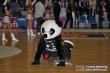 Thumbs/tn_IMG_5076.jpg
