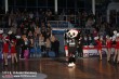 Thumbs/tn_IMG_3976.jpg