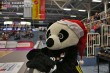 Thumbs/tn_IMG_4138.jpg