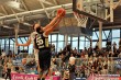 Thumbs/tn_HMG_9745.jpg