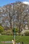 Thumbs/tn_IMG_6108.jpg