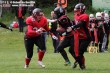 Thumbs/tn_AFVD_0011.jpg