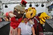 Thumbs/tn_IMG_0954.jpg