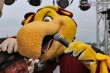 Thumbs/tn_IMG_0959.jpg