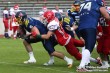 Thumbs/tn_IMG_2229.jpg