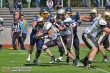 Thumbs/tn_IMG_5108.jpg