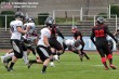 Thumbs/tn_GFL_0007.jpg