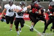 Thumbs/tn_GFL_0012.jpg