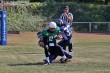 Thumbs/tn_IMG_8833.jpg