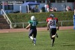 Thumbs/tn_IMG_9262.jpg