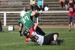 Thumbs/tn_IMG_9374.jpg