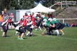 Thumbs/tn_IMG_9382.jpg