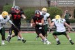 Thumbs/tn_GFL_0003.jpg