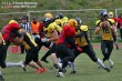 Thumbs/tn_IMG_2156.jpg