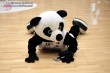 Thumbs/tn_IMG_9367.jpg
