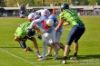 Thumbs/tn_IMG_1354.jpg