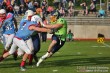 Thumbs/tn_IMG_1658.jpg