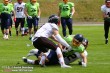 Thumbs/tn_IMG_9718.jpg