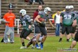 Thumbs/tn_IMG_7750.jpg