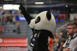 Thumbs/tn_IMG_3271.jpg