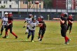 Thumbs/tn_IMG_1290.jpg