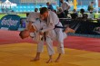 Thumbs/tn_IMG_6339.jpg
