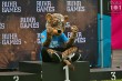 Thumbs/tn_IMG_7265.jpg