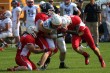 Thumbs/tn_IMG_7164.jpg