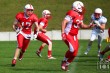 Thumbs/tn_IMG_7202.jpg