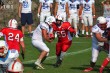 Thumbs/tn_IMG_7252.jpg