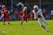 Thumbs/tn_IMG_7292.jpg
