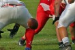 Thumbs/tn_IMG_7327.jpg