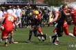 Thumbs/tn_IMG_1181.jpg