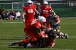 Thumbs/tn_IMG_1216.jpg