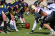 Thumbs/tn_IMG_5277.jpg