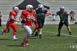 Thumbs/tn_IMG_0401.jpg
