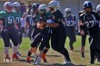 Thumbs/tn_IMG_8527.jpg