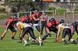 Thumbs/tn_IMG_5216.jpg