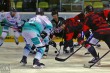 Thumbs/tn_IMG_4444.jpg